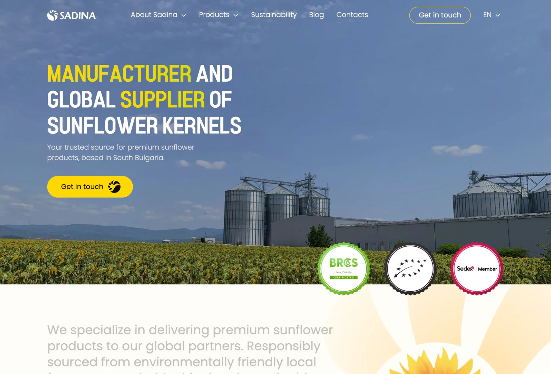 The Sadina website after the redesign