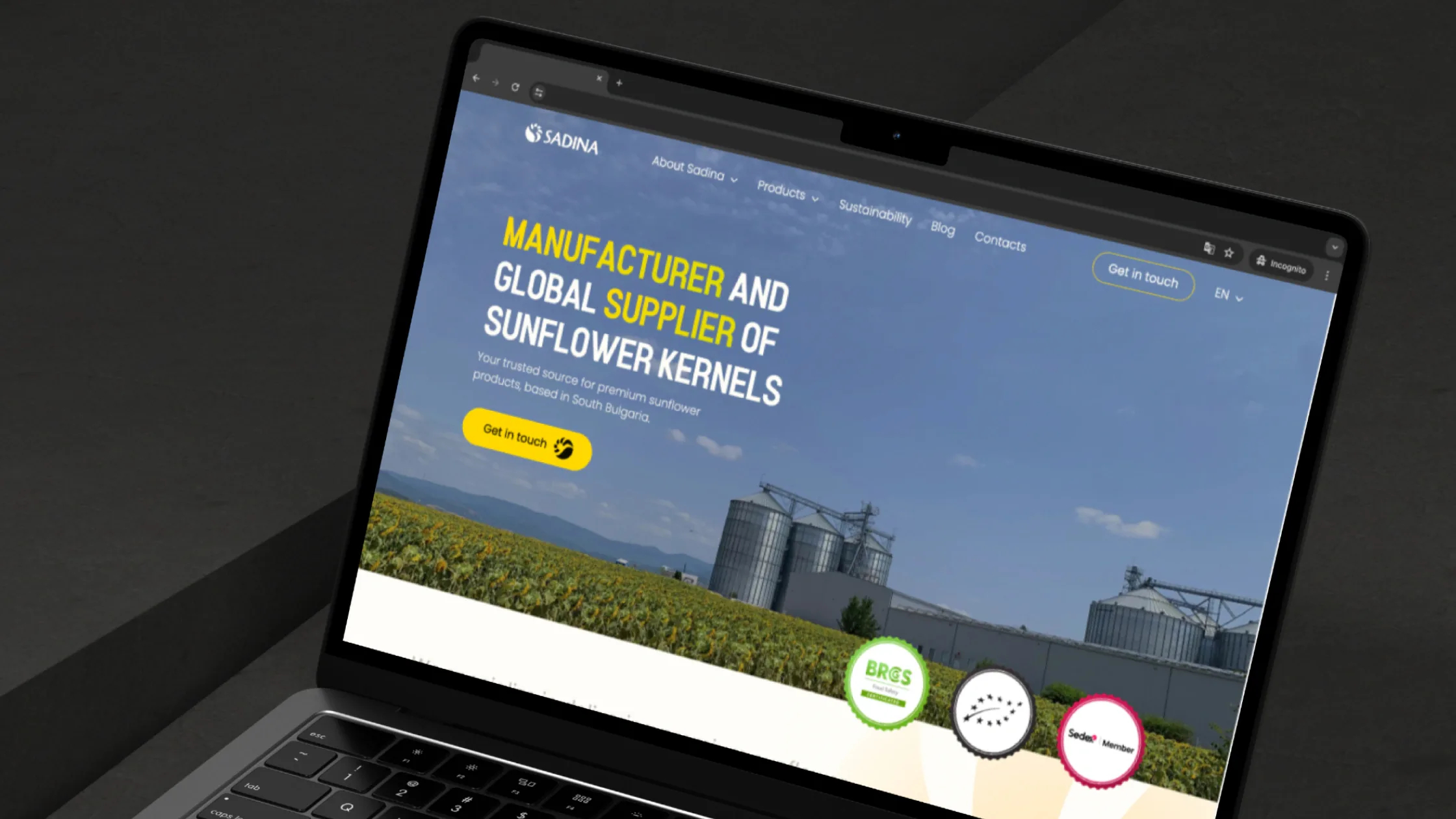 The Sadina website on a laptop